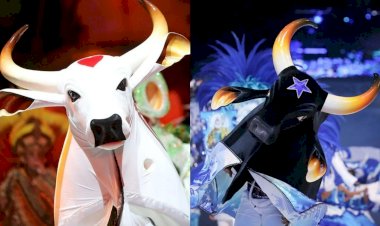 Bois Caprichoso e Garantido farão show no BBB 24