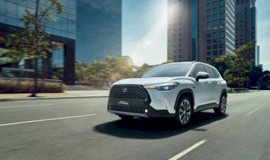 Híbridos flex: por que a tecnologia está no centro dos R$ 117 bilhões de investimentos das montadoras