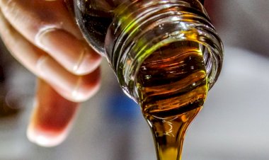 Ministério manda recolher dez marcas de azeite extravirgem; veja quais