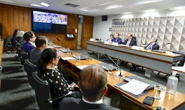 União homoafetiva, proteção a pets, doação de órgãos e regras para IA: o que prevê a reforma do Código Civil em debate no Senado