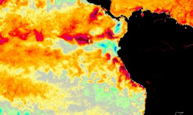 Começa transição do El Niño para La Niña