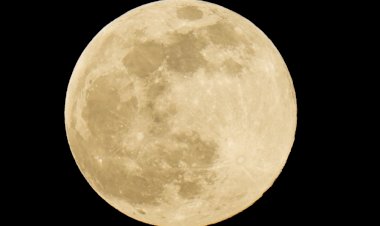 'Lua Cheia Rosa' poderá ser vista nesta terça-feira no Brasil