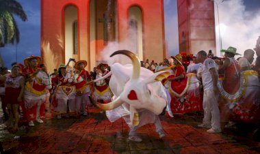 Alvorada do Garantido reúne multidão de torcedores pelas ruas de Parintins