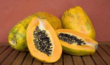 Mamão: saiba o que acontece com o corpo se você comer todo dia