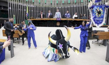Câmara faz sessão em homenagem ao Festival de Parintins e aos Bois Caprichoso e Garantido