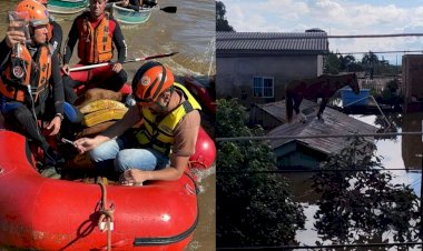 Chuvas no RS: cavalo “Caramelo” é resgatado após ficar 4 dias ilhado em Canoas