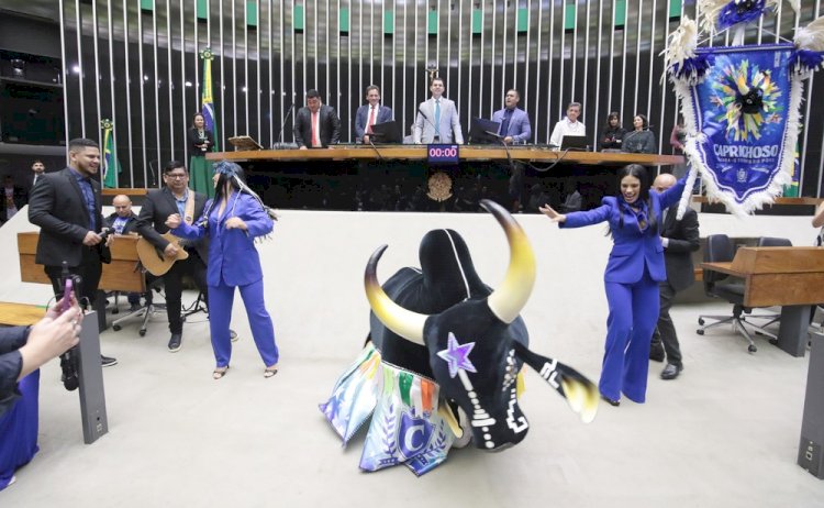 Câmara faz sessão em homenagem ao Festival de Parintins e aos Bois Caprichoso e Garantido