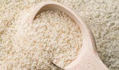 Justiça Federal acolhe pedido do Novo e suspende leilão da Conab para importação de 300 mil toneladas de arroz