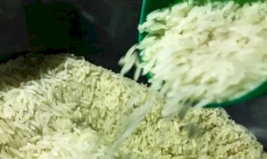 Justiça Federal derruba liminar e mantém leilão de arroz importado nesta quinta (6)