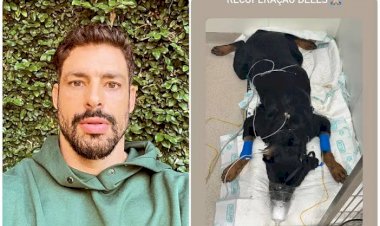 Após morte de cachorro, Cauã Reymond faz apelo por segundo pet envenenado