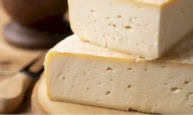 Queijo pode colaborar com envelhecimento saudável e feliz, sugere estudo