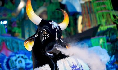 Boi Caprichoso é tricampeão do 57º Festival Folclórico de Parintins