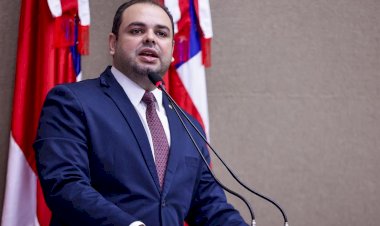 Presidente Roberto Cidade defende criação de Política Estadual de incentivo ao plantio do babaçu para o fortalecimento da economia no interior do Estado