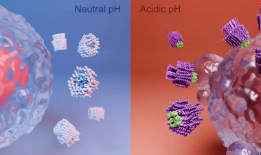Cientistas desenvolvem nanorrobôs que podem “matar” células cancerígenas