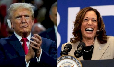 Pesquisa aponta que Kamala Harris assumiu a liderança na corrida pela Casa Branca