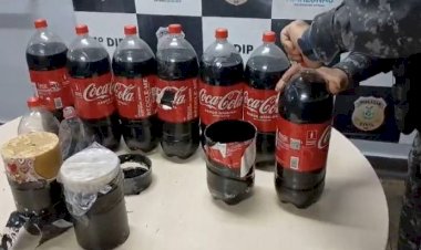 Coca-Cola falsa de cocaína: cão “descobre” trambicagem e traficante é preso no AM