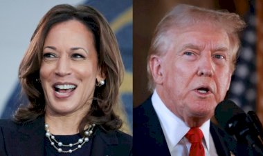 Pesquisas mostram vantagem de Harris sobre Trump em eleição nos EUA