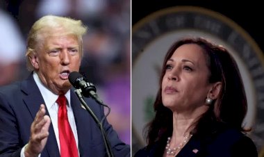 Pesquisas nos EUA: Kamala avança em estados decisivos