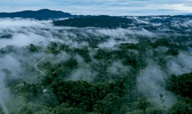 Como 'dilúvio' no deserto do Saara mexerá com o tempo no Brasil