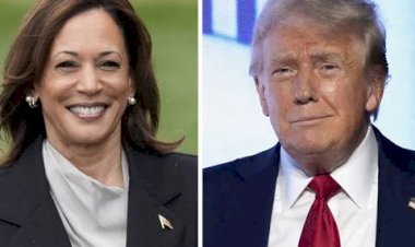 Pesquisa mostra Kamala e Trump empatados na reta final da eleição americana