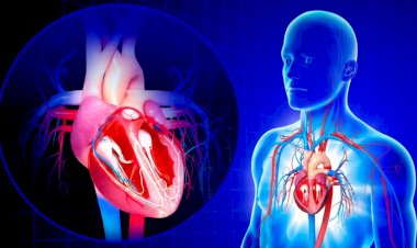 Infarto e parada cardíaca não são a mesma coisa; especialistas ensinam como diferenciá-los