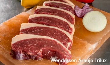 Brasil bateu recorde exportando mais de 300 mil toneladas de carne bovina em agosto