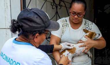 Prefeitura de Manaus inicia Campanha de Vacinação Antirrábica Animal 2024