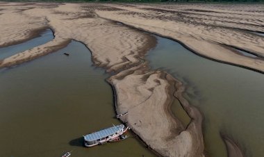 Quase 770 mil pessoas são afetadas pela seca histórica que atinge o Amazonas, diz Defesa Civil