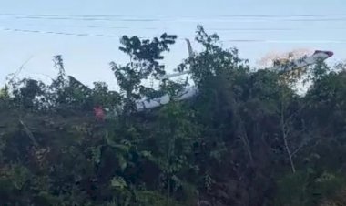 Vídeo: Avião experimental de pequeno porte cai na BR-174