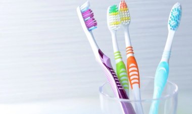 Mais de 600 vírus vivem nas escovas de dentes e no chuveiro, sugere estudo