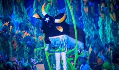 111° aniversário do Caprichoso é comemorado com bolo, artistas e o lançamento do Álbum do Tri-Campeonato ao vivo em Parintins