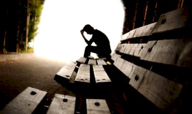 Harvard revela: o que pode proteger você da depressão