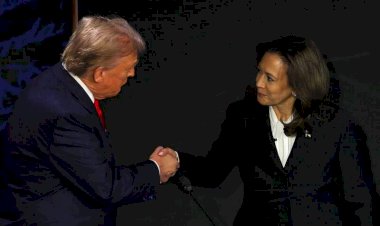 Kamala X Trump: Qual o impacto da eleição americana nas relações diplomáticas entre Brasil e Estados Unidos? | Eleições dos EUA 2024