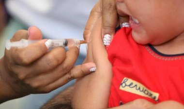 Vacina em gotinhas da poliomielite é substituída por dose injetável; entenda mudanças
