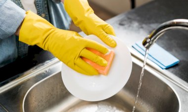 Esponja de cozinha pode estar mais suja que a própria louça; saiba quando trocar