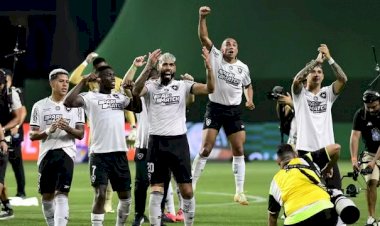 Botafogo vence Palmeiras, retoma liderança e abre vantagem por título, pela  36ª rodada do Campeonato Brasileiro Série A