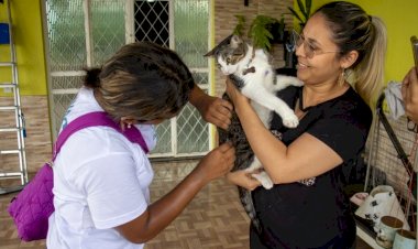 Prefeitura de Manaus oferta vacina antirrábica em rede de supermercados da capital