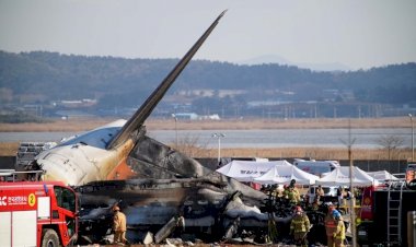 Sobrevivente de acidente de avião na Coreia do Sul é comissário e está consciente: 'Quando acordei, já tinha sido resgatado'