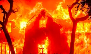 Incêndios florestais sem precedentes levam pânico e mortes a Los Angeles