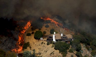 Ex-ator mirim, jovem com paralisia, idosos que não conseguiram sair: quem eram vítimas dos incêndios em Los Angeles