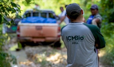 ICMBio reabre inscrições para concurso com 350 vagas e salários de até R$ 8,8 mil; veja como participar