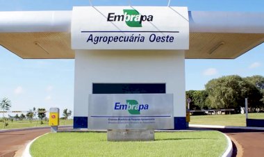 Concurso da Embrapa encerra inscrições nesta sexta; são 1.027 vagas e salários de até R$ 12,8 mil