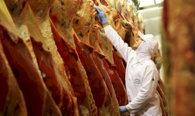 Produção de carnes supera 31,5 mi de toneladas e bate recorde, diz Conab