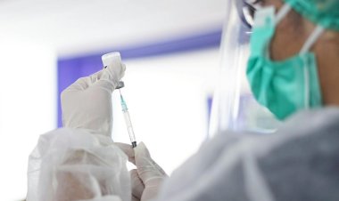 Governo anuncia vacina brasileira contra dengue no SUS em 2026