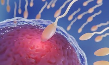 Pressão alta afeta a qualidade do sêmen desde a juventude, diz estudo; entenda