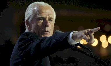 Peter Navarro, o 'senhor tarifas' de Trump que Musk chamou de 'imbecil'