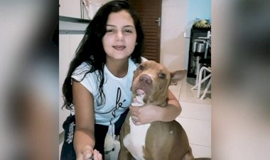 Pit bull mata tutora dentro de casa em Goiás