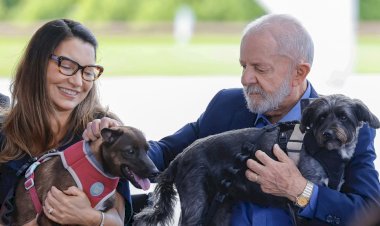 Ao lado de pets, Lula assina decreto que lança cadastro nacional gratuito para cães e gatos