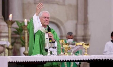 Quem é Dom Leonardo Steiner, arcebispo de Manaus que vai participar da escolha do novo papa