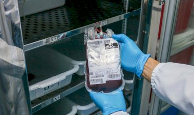 Hemoam tem queda nas doações de sangue e convoca doadores